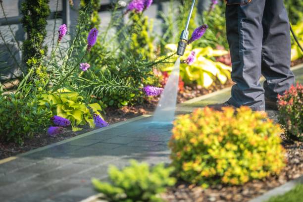 Best Restaurant Pressure Washing  in New Market, MD